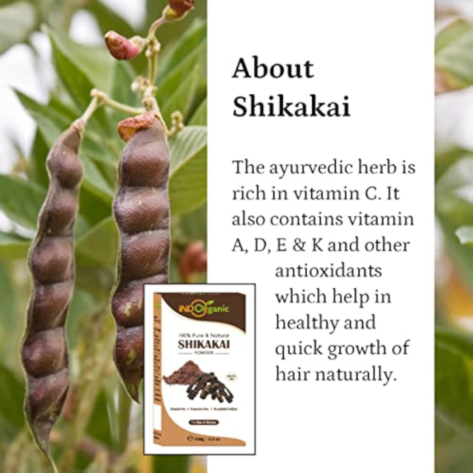 Shikakai Powder for Hair Pack, Excellent Conditioner